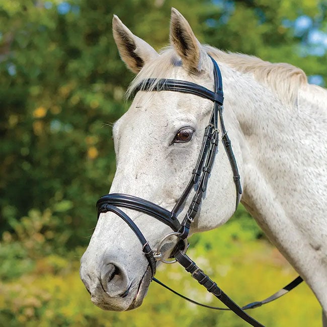 Shires Avignon Louisville Bridle - Thumbnail 2