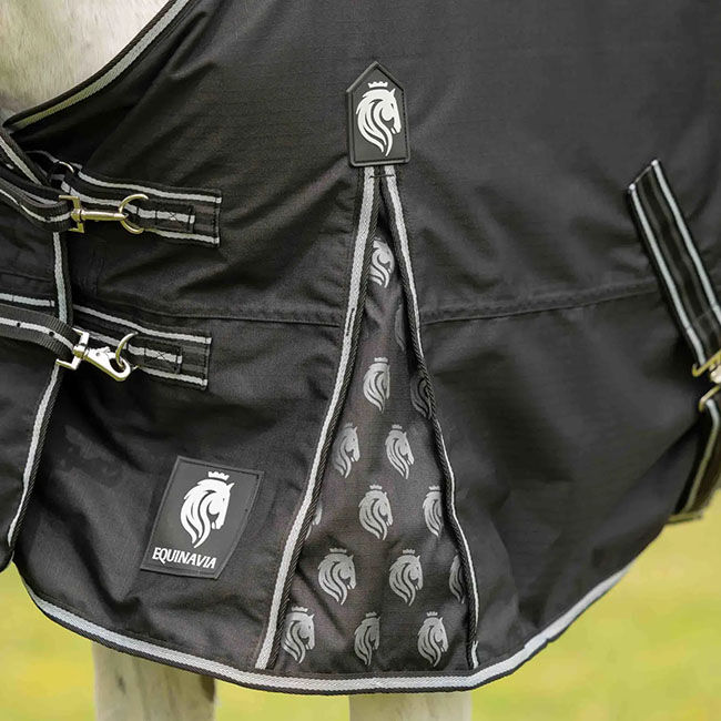 Equinavia Norse Fleece-Lined Turnout Blanket - Black image number null