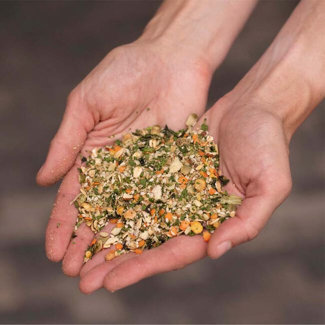 Equine Elixirs Crackdown - Hoof Support Supplement image number null