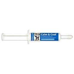 Oralx Calm & Cool Paste - 34 g