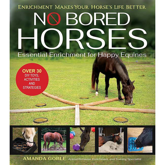 No Bored Horses: Essential Enrichment for Happy Equines image number null