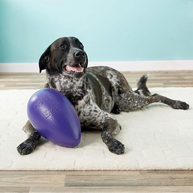 Jolly Pets Jolly Egg Dog Toy image number null