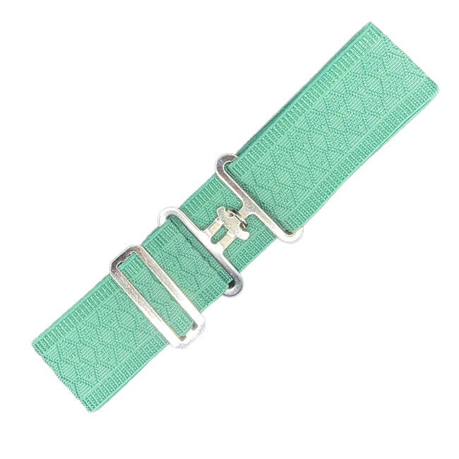 Benny Bows Surcingle Elastic Belt image number null