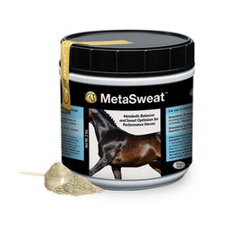 Perfect Products MetaSweat Anhidrosis Powder