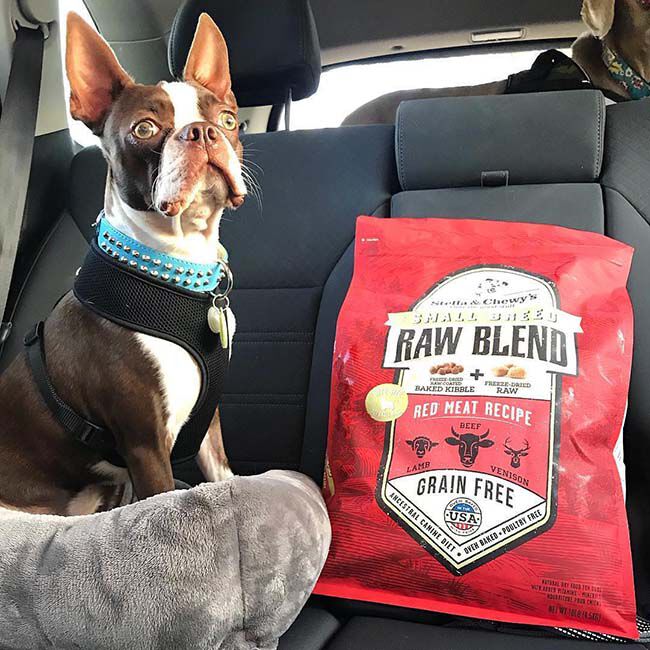 Stella & Chewy's Raw Blend Food for Small Breed Dogs - Red Meat Recipe - 3.5 lb image number null