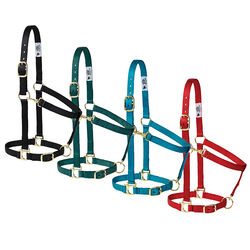Weaver Equine Poly Adjustable Halter
