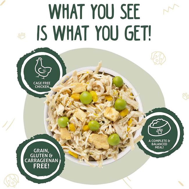 Weruva Classic Dog Food - Green Eggs & Chicken with Chicken, Pumpkin, Greens & Egg in Gravy - 14 oz image number null