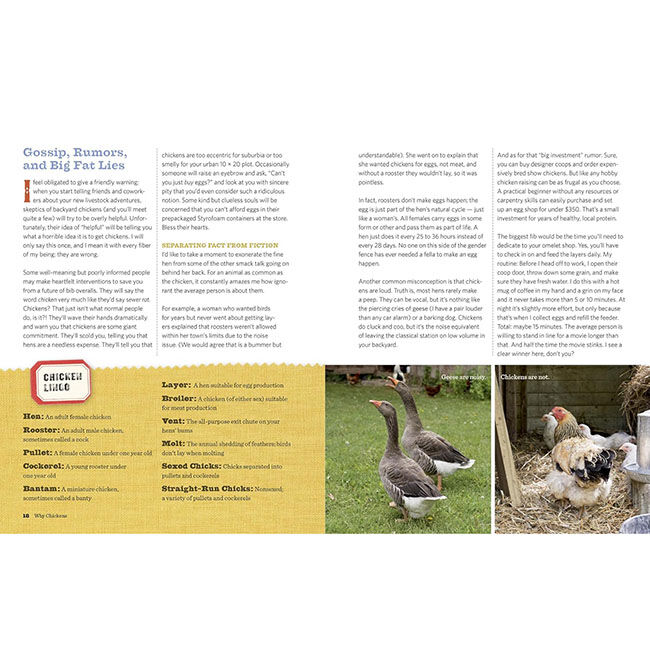 An Absolute Beginner's Guide to Keeping Backyard Chickens: Watch Chicks Grow from Hatchlings to Hens image number null