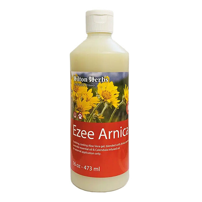 Hilton Herbs EZEE Arnica image number null