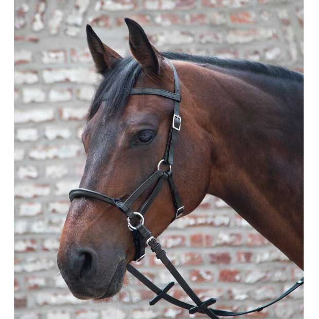 Full Horse Size Black Biothane English Snaffle Bridle Raised Plaited Rein 