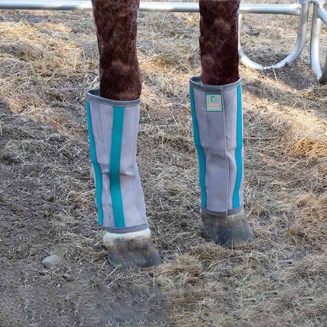 Majyk Equipe Fly-Bye Boots - 4-Pack - Silver/Turquoise image number null