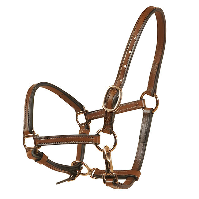 Tory Leather Weanling Halter - Havana image number null
