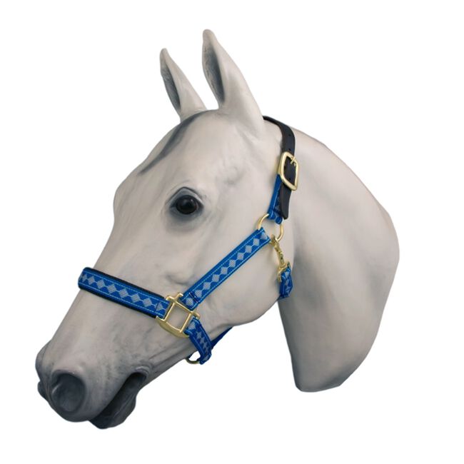 Horse Fare Breakaway Halter Blue and White image number null
