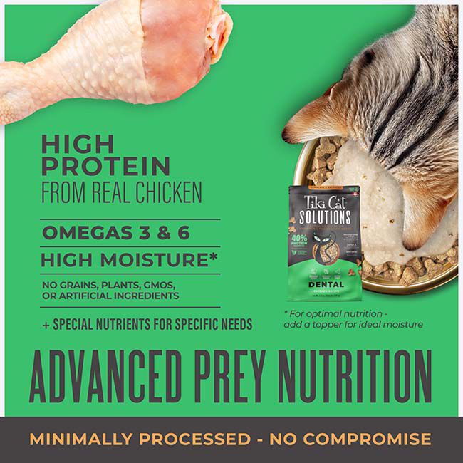 Tiki Cat Solutions Kibble Cat Food - Dental - Chicken Recipe - 2.8 lb image number null