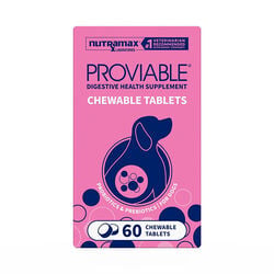 Nutramax Proviable Probiotics for Dogs, Daily Digestive Health Supplement with Multiple Strains of Bacteria, Dog Probiotics Plus Prebiotics