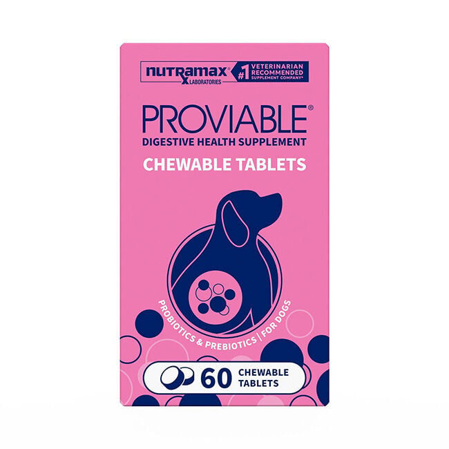 Nutramax Proviable Probiotics for Dogs, Daily Digestive Health Supplement with Multiple Strains of Bacteria, Dog Probiotics Plus Prebiotics image number null