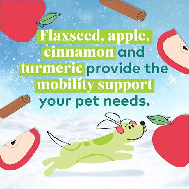 Honest to Goodness Plant Snacks Howliday Treats - Apple Spice Recipe - 4 oz image number null