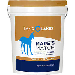 Mare's Match Foal Milk Replacer