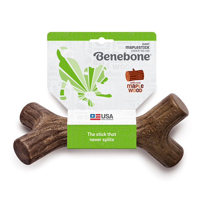 Benebone Maplestick Dog Chew - Maple Flavor image number null