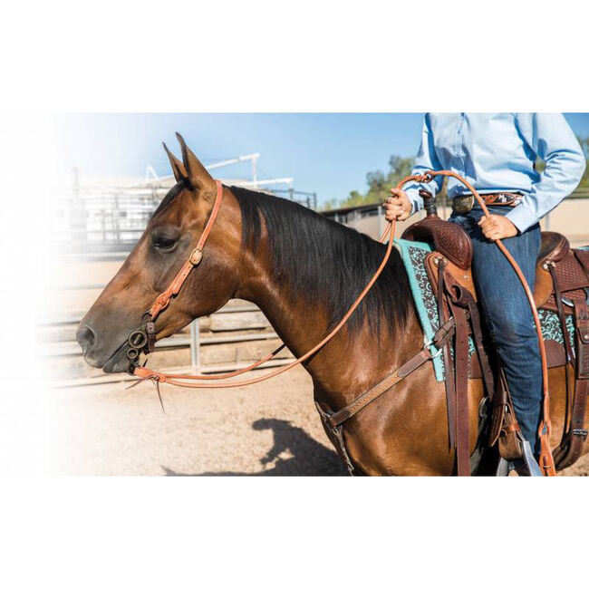 Professional's Choice Harness Leather Romal Reins with Waterloops image number null