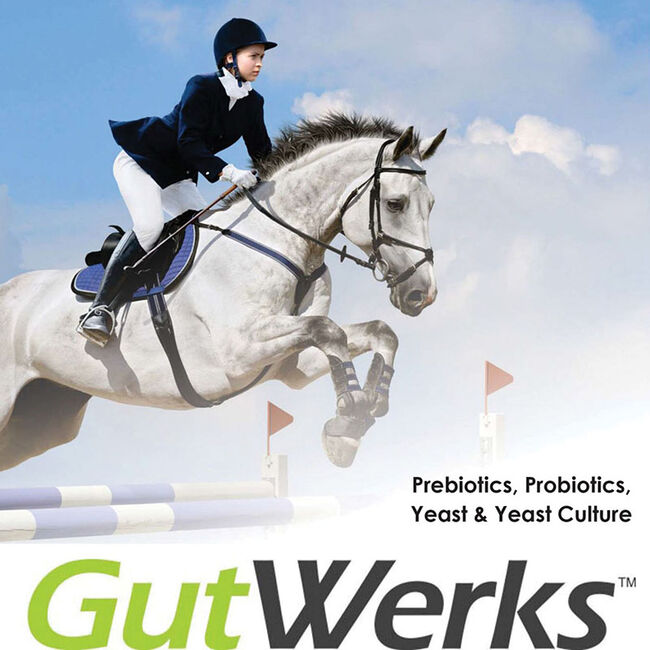 HorseTech Gutwerks image number null