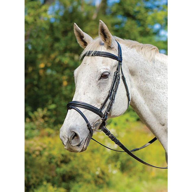 Shires Avignon Louisville Bridle image number null