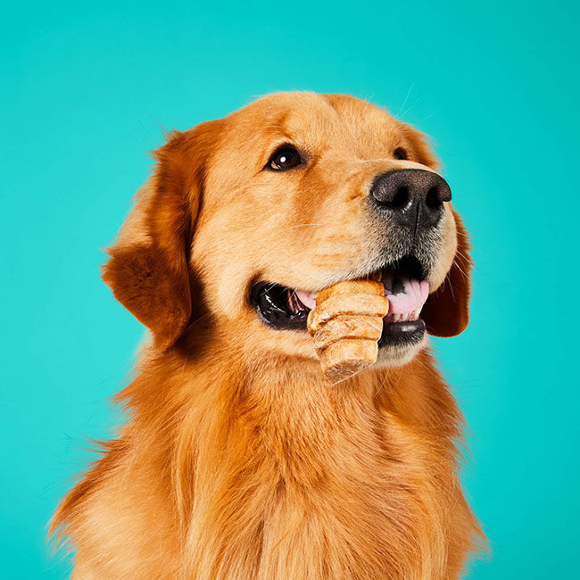 Project Hive Dental Chew - Cleans Teeth & Freshens Breath - Ground Peanuts & Honey image number null