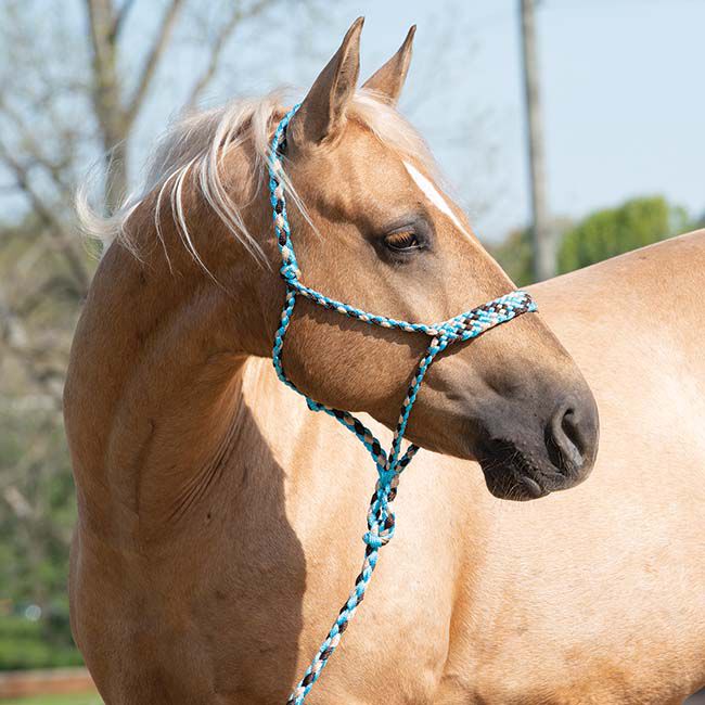 Weaver Equine Braided Rope Halter with 10' Lead image number null