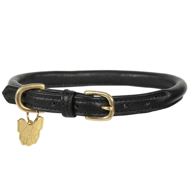 Shires Digby & Fox Rolled Leather Dog Collar - Black image number null
