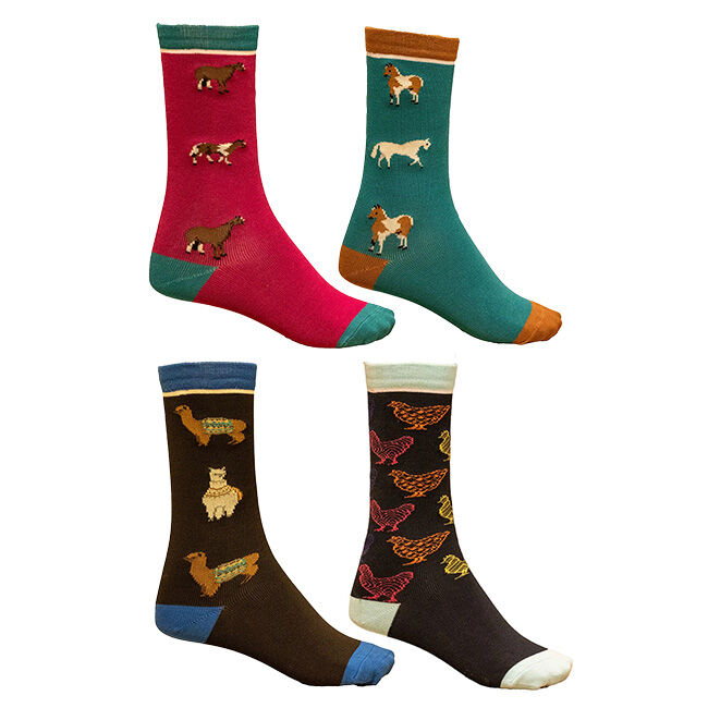 Shires Aubrion Kids' Bamboo Everyday Socks image number null