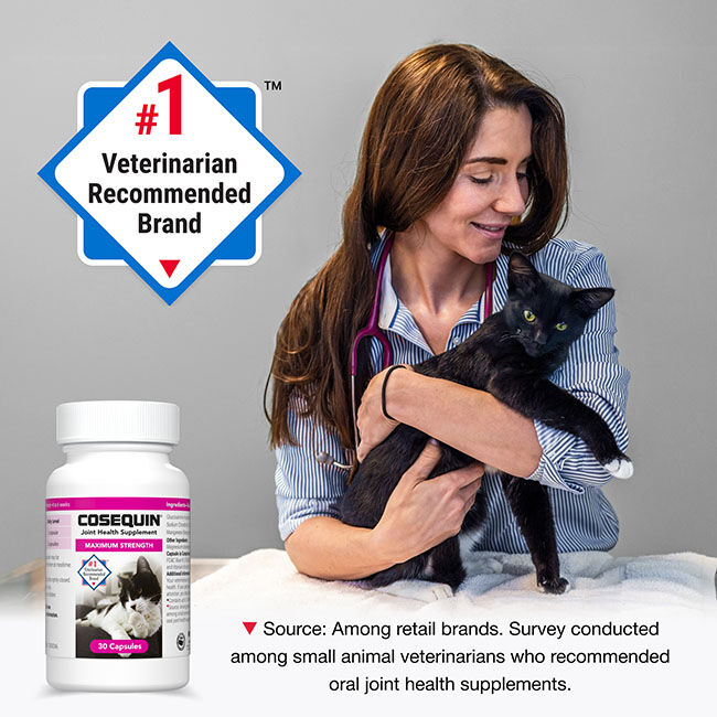 Nutramax Cosequin for Cats Joint Health Supplement, Contains Glucosamine for Cats, Plus Chondroitin, Supports Healthy Joints, for all Breeds and Sizes, Sprinkle Capsules - 30 Capsules image number null