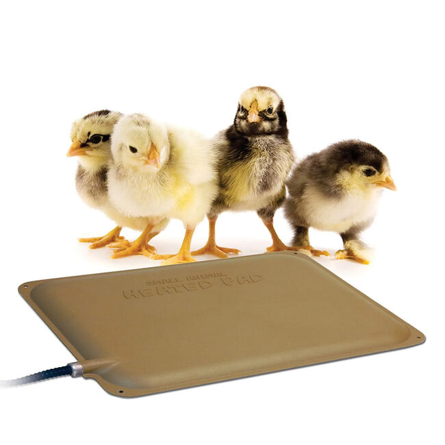 K & H Pet Thermo-Chicken Heated Pad image number null
