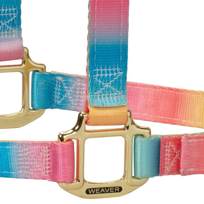 Weaver Equine Polyester Adjustable Chin and Throat Snap Halter - Rainbow image number null