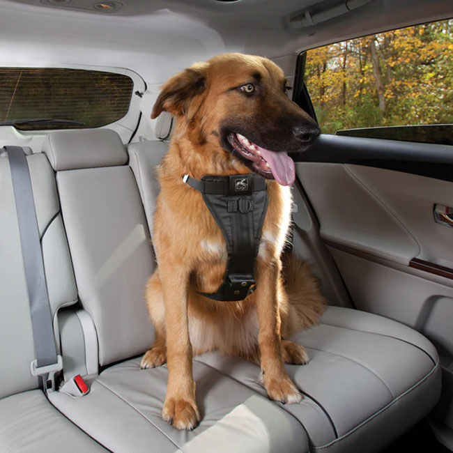 Kurgo Enhanced Strength Tru-Fit Dog Car Harness image number null