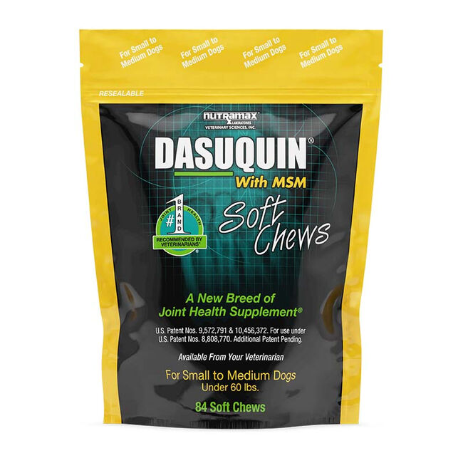Dasuquin Soft Chews with MSM for Dogs - Small - 84 count image number null