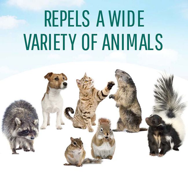 Safer Critter Ridder Animal Repellent Granules image number null