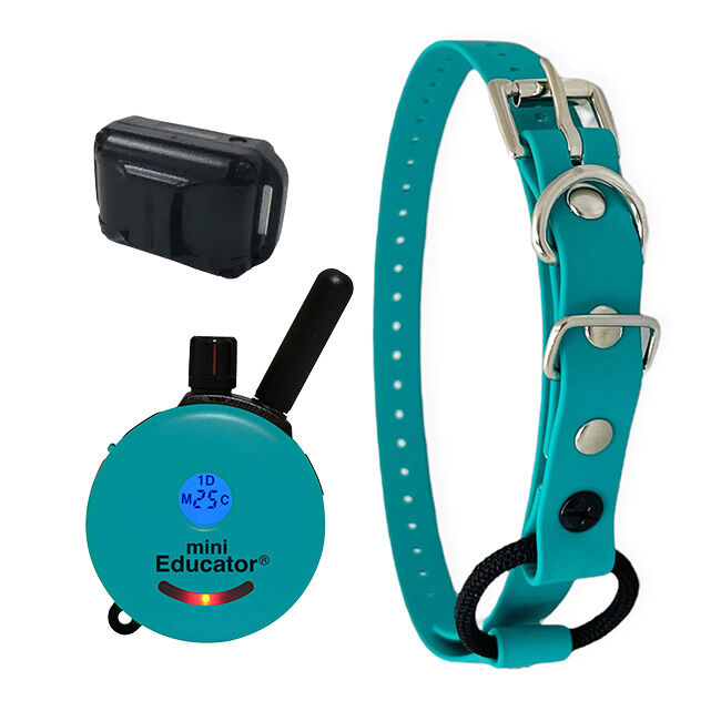 E Collar Technologies ET 300 Mini Educator 1 2 Mile Remote E Collar Bungee Collar Strap