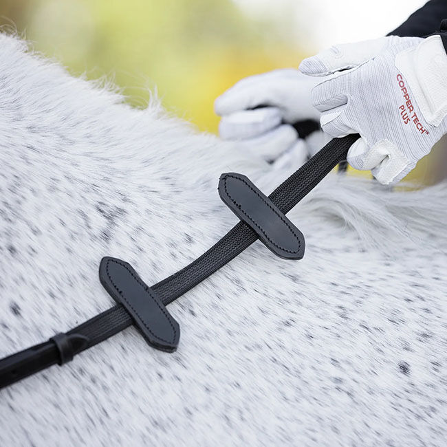 Correct Connect Aaron Vale Rein with 3 Slim Hand Grips image number null