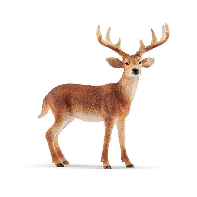 Schleich White-Tailed Buck Toy image number null