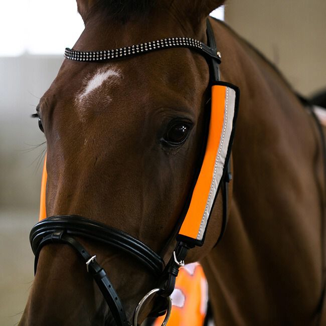 Horze Reflective Bridle Cover image number null