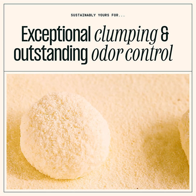 Sustainably Yours Cat Litter - Mixed Grain Formula - 26 lb image number null