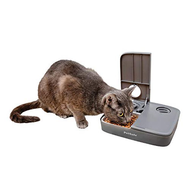 PetSafe Automatic Two-Meal Dog & Cat Feeder image number null