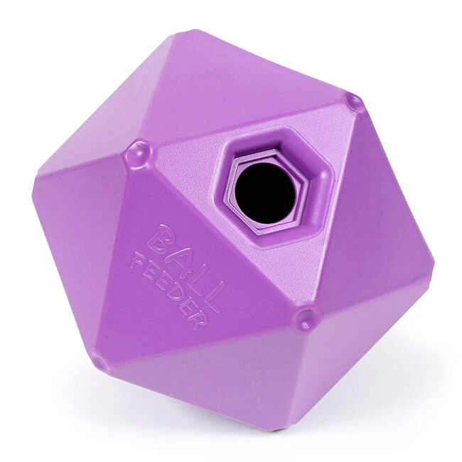 Shires Equestrian Ball Feeder image number null