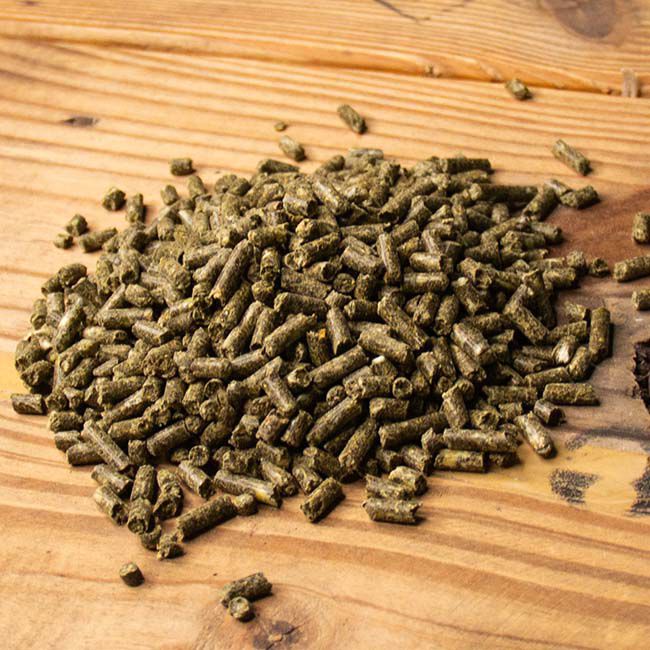 NCSRH-1.jpg image number null