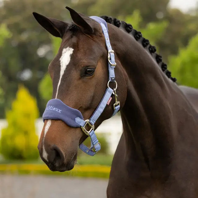 LeMieux Vogue Halter & Lead Rope - Powder Blue image number null