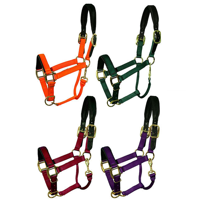 Intrepid Chafeless Breakaway Halter Padded Crown and Nose image number null