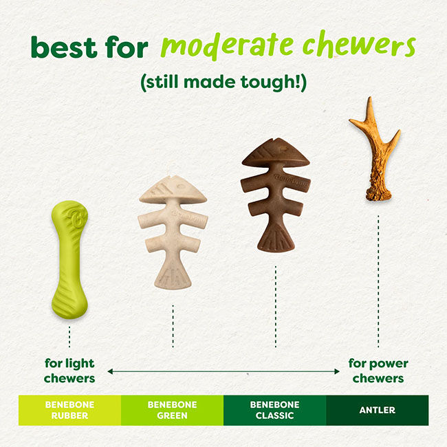Benebone Green Plant-Based Chew Toy - Fishbone image number null