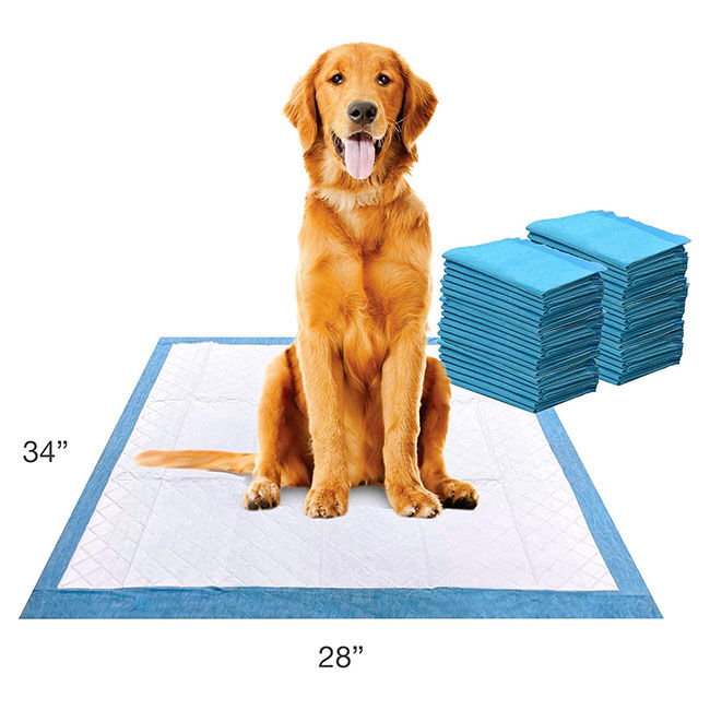 Four Paws Wee-Wee Superior Performance Dog Pee Pads image number null