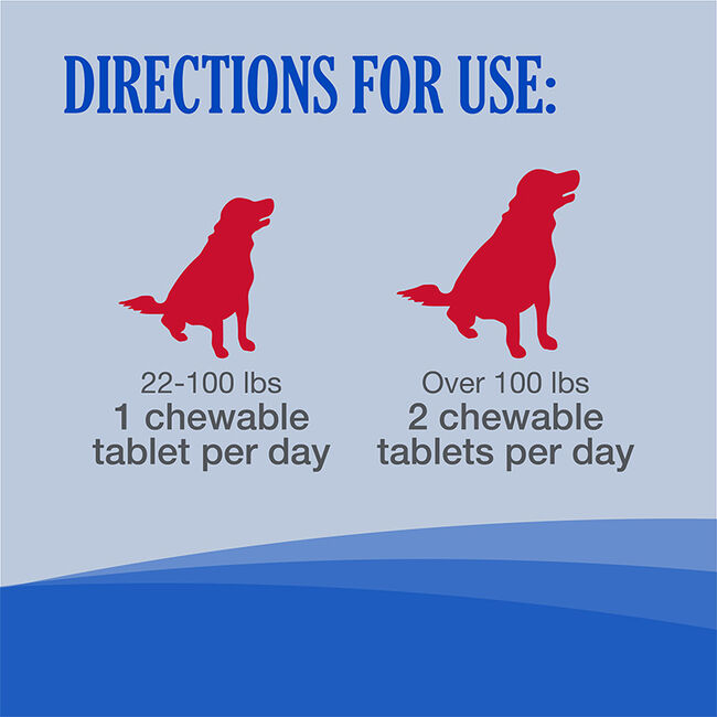Nutramax Cobalequin B12 Supplement for Medium to Large Dogs - 45 Chewable Tablets image number null
