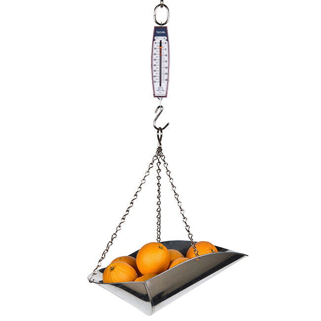 Taylor 3070 Industrial Hanging Scale - 70-lb Capacity image number null